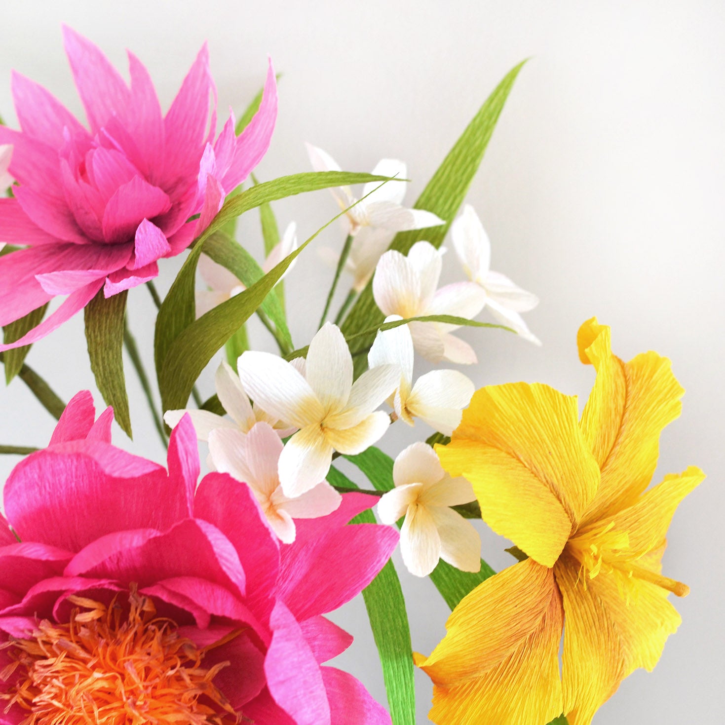 Paper Plumeria Template – Ta Muchly Paper Blooms
